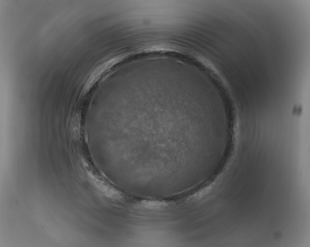 X0000112200825200908141431
