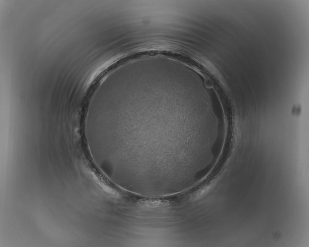 X0000112200826200908141431