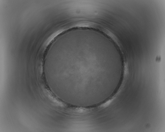 X0000112200829200908141431