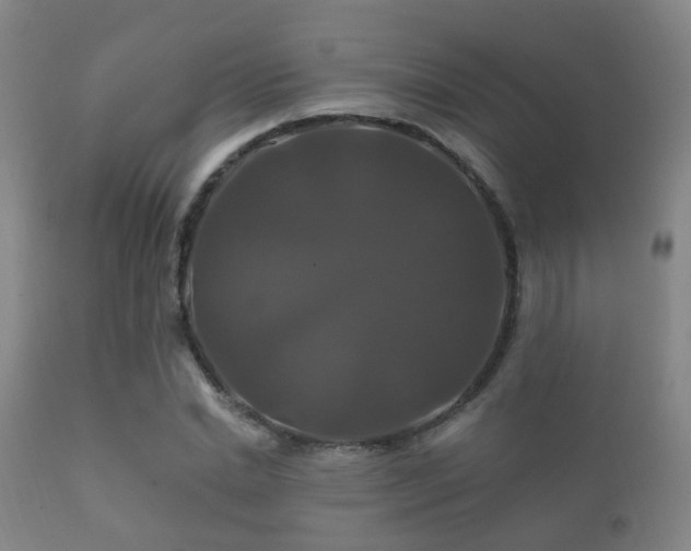 X0000112200830200908141431