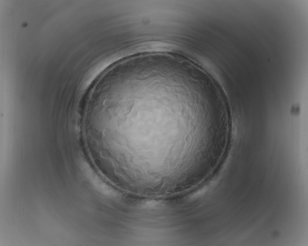 X0000112200835200908141431