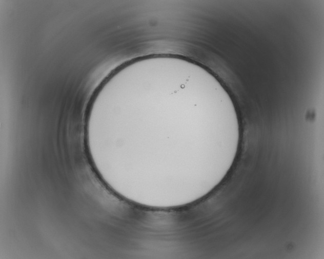 X0000112200836200908141431