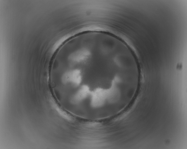 X0000112200837200908141431