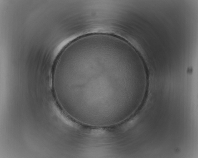 X0000112200838200908141431