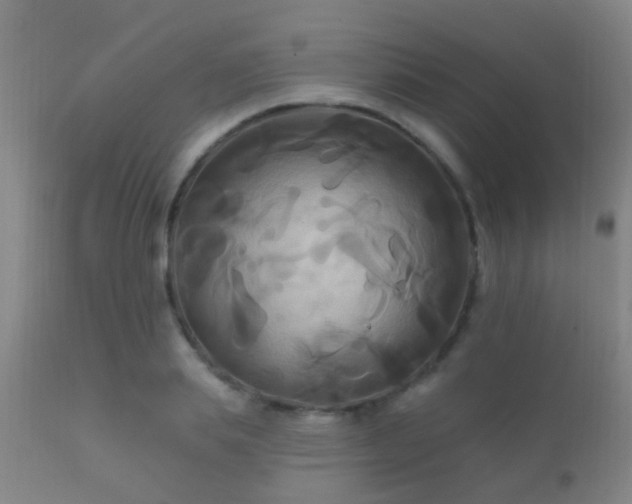 X0000112200839200908141431