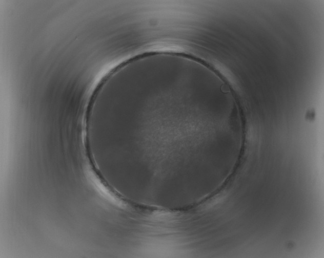 X0000112200840200908141431