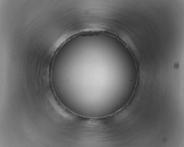 X0000112200842200908141431