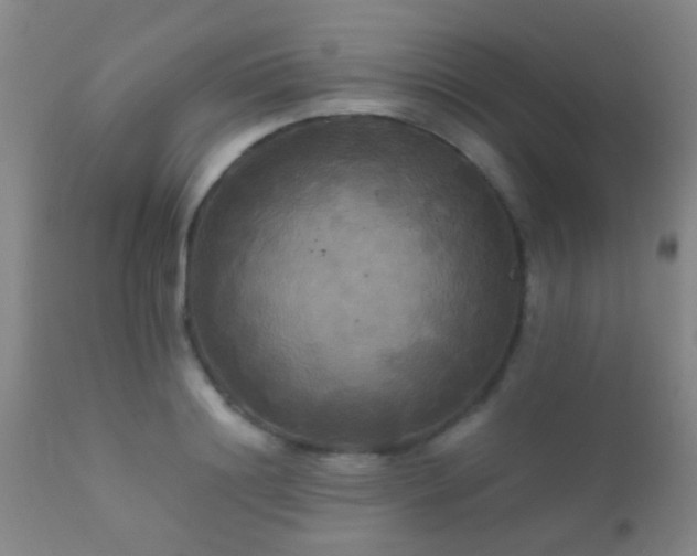 X0000112200844200908141431