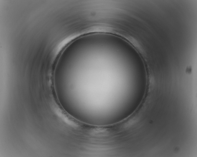 X0000112200846200908141431