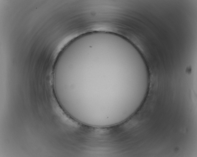 X0000112200848200908141431