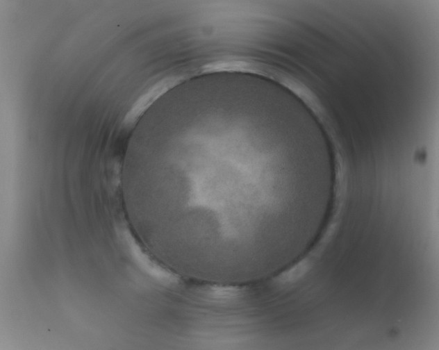 X0000112200849200908141431