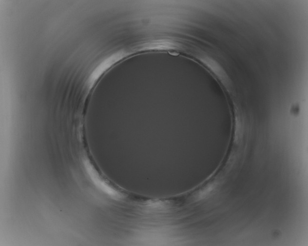 X0000112200850200908141431