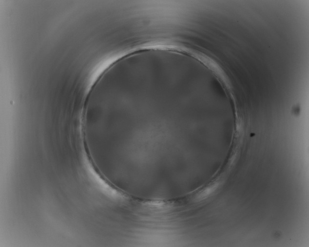 X0000112200855200908141432