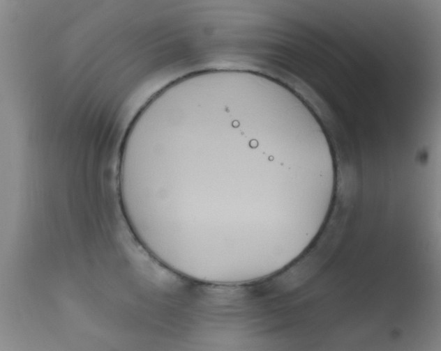 X0000112200856200908141432