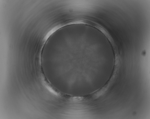 X0000112200858200908141432