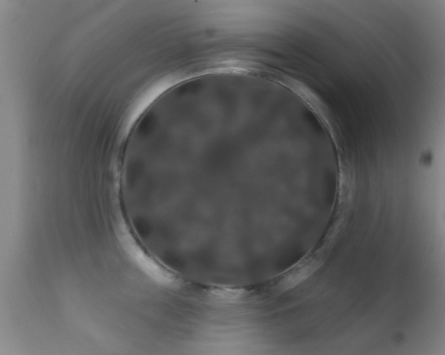 X0000112200859200908141432