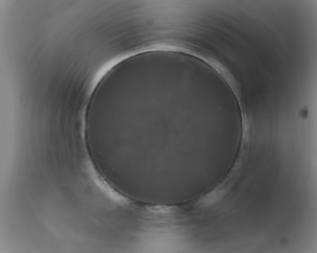 X0000112200862200908141432