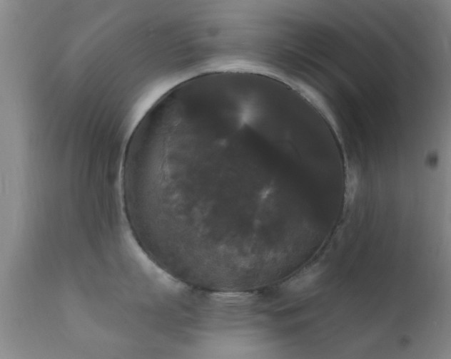 X0000112200863200908141432
