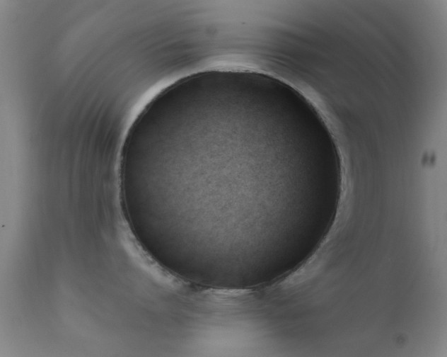 X0000112200864200908141432