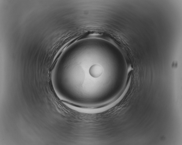 X0000112200868200908141431