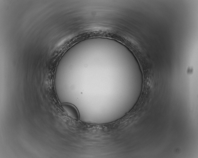 X0000112200869200908141431
