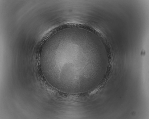 X0000112200870200908141431