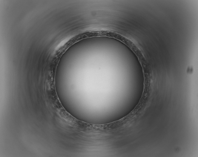 X0000112200871200908141431