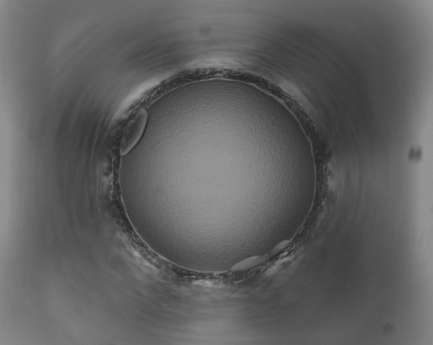 X0000112200872200908141431