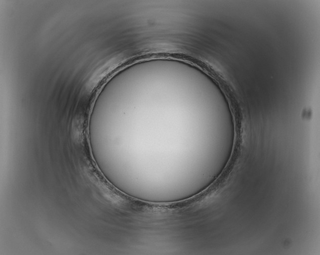 X0000112200873200908141431