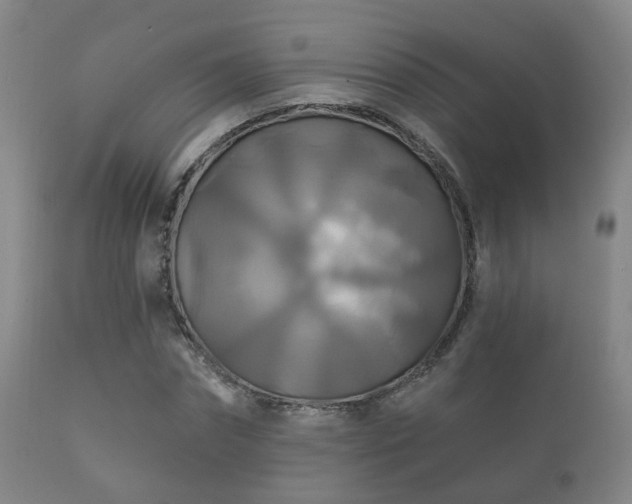 X0000112200874200908141431