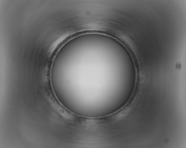 X0000112200875200908141431