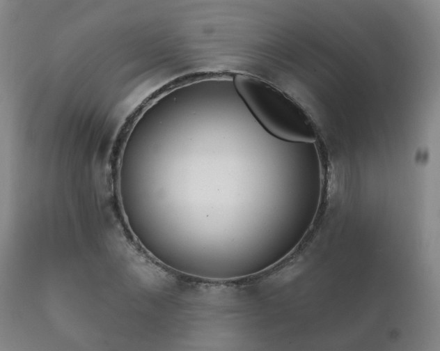 X0000112200876200908141431