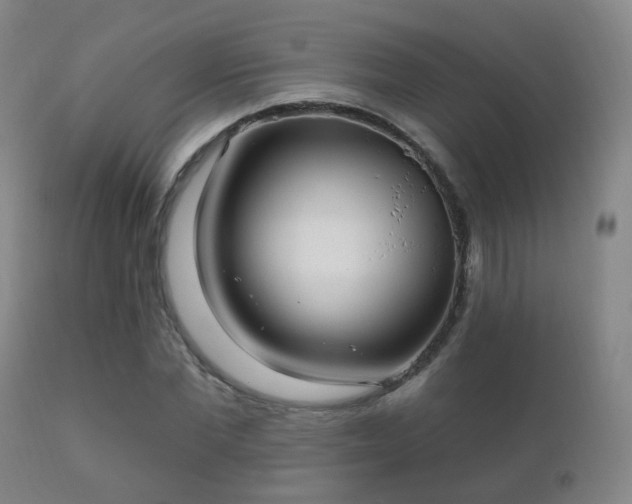 X0000112200877200908141431