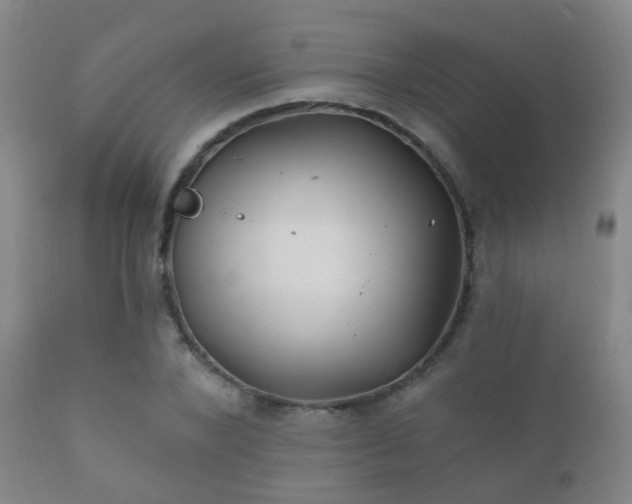 X0000112200880200908141431
