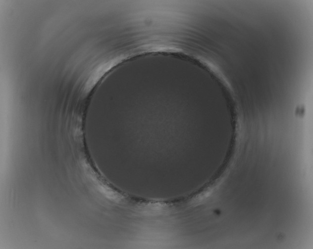 X0000112200881200908141431