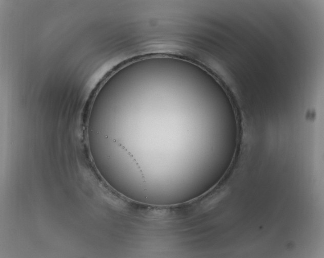 X0000112200883200908141431
