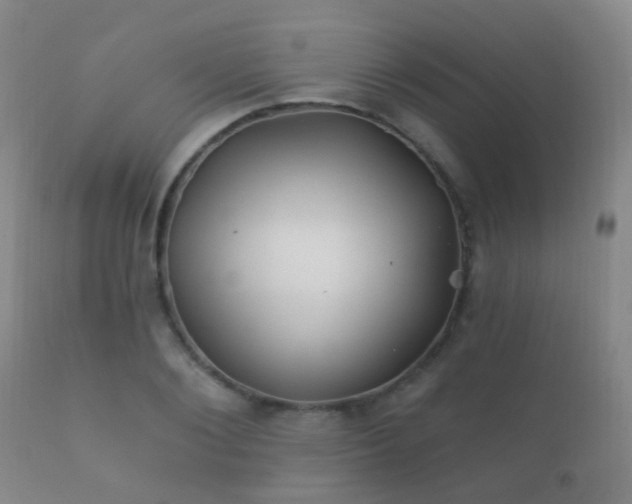 X0000112200884200908141431