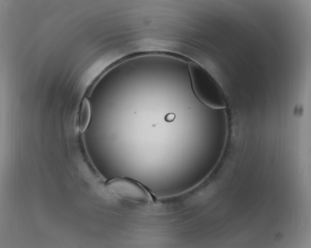 X0000112200885200908141431