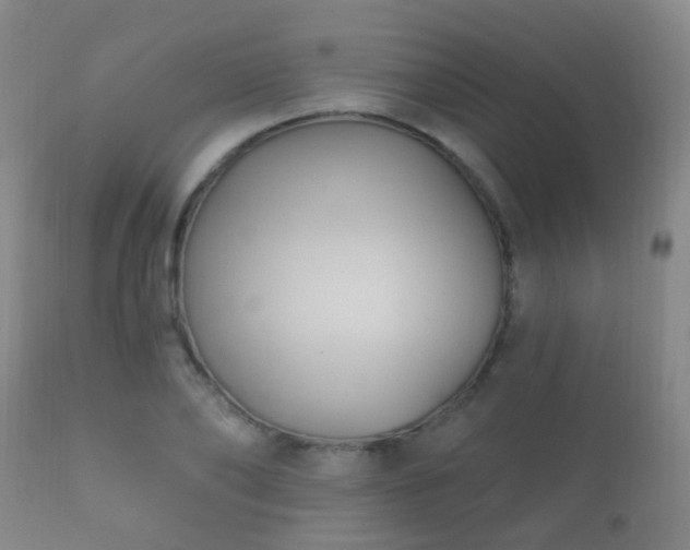 X0000112200886200908141431