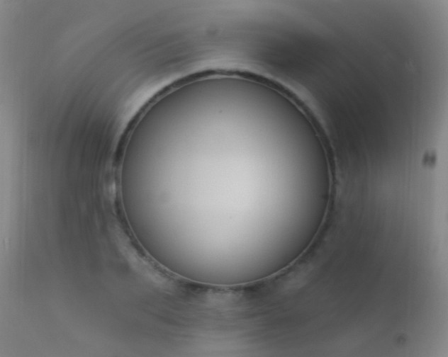 X0000112200887200908141431