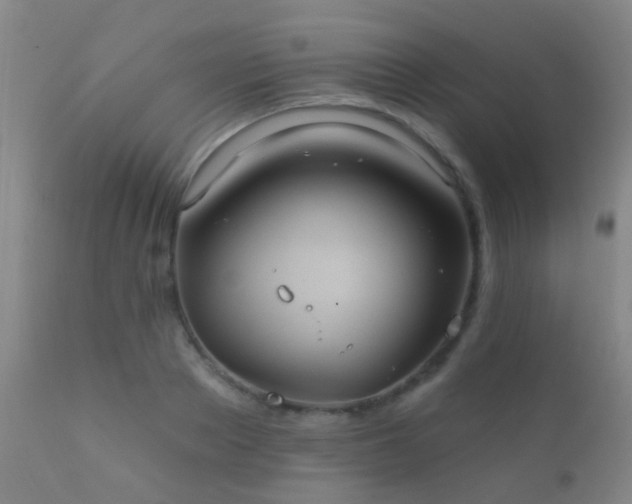 X0000112200889200908141431