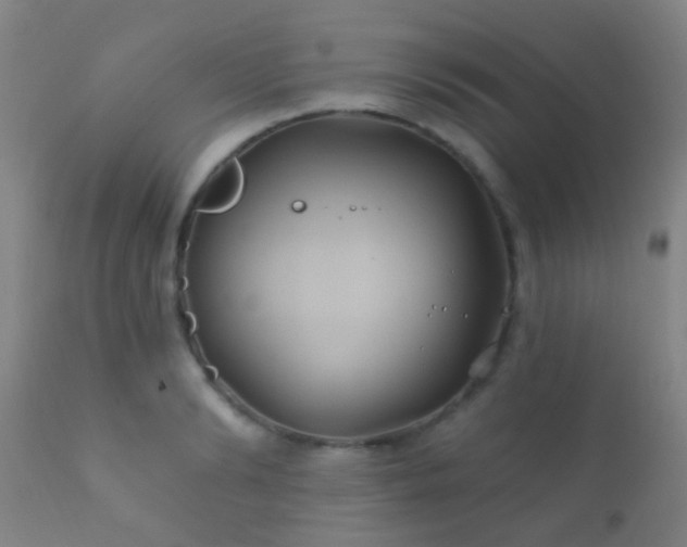 X0000112200894200908141431