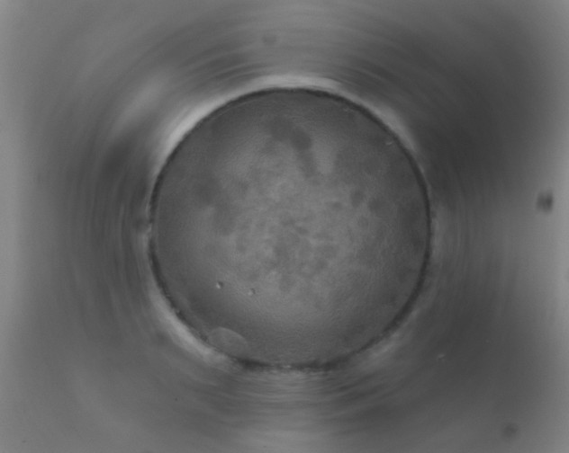 X0000112200895200908141431