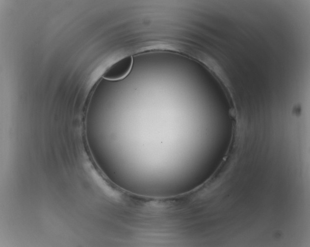 X0000112200898200908141431