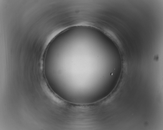 X0000112200900200908141431
