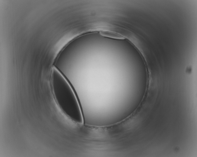 X0000112200901200908141430