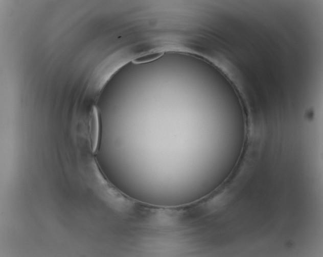 X0000112200905200908141430