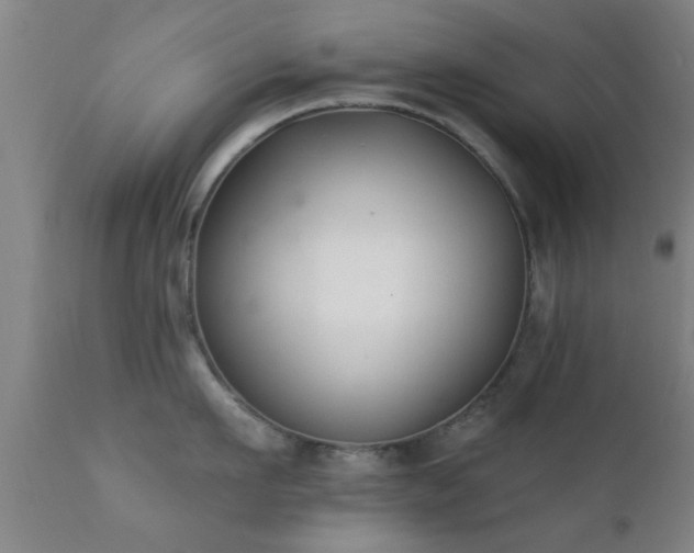 X0000112200911200908141430