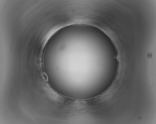 X0000112200912200908141430