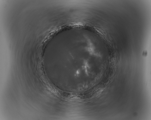 X0000112200913200908141430